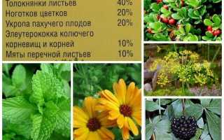 Урологический сбор при цистите: рецепты, как действует, польза