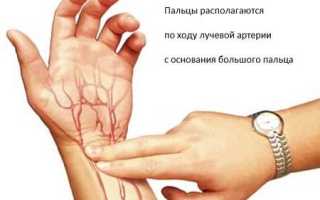 Какой пульс у взрослого человека считается нормой