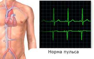 Какой должен быть пульс у женщины