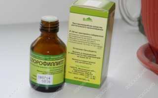 Хлорофиллипт масляный для горла, особенности применения