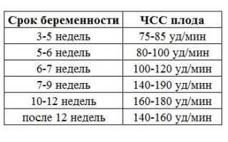Норма чсс плода по неделям